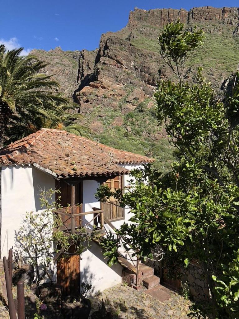 Home2Book El Encanto De La Torre I Santa Cruz de Tenerife Eksteriør bilde